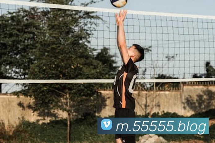 8868体育全站App